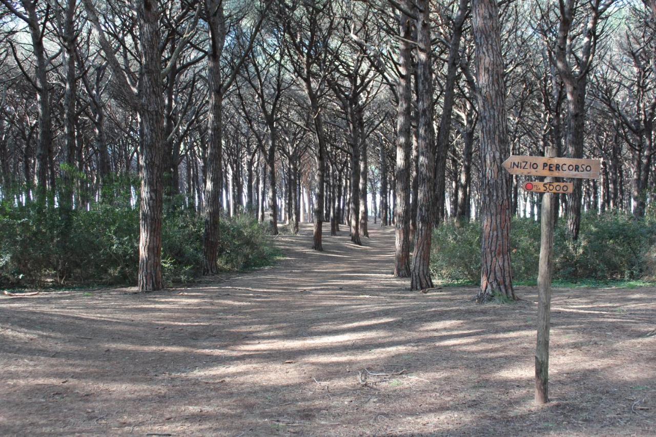 מרינה די צ'צ'ינה Hotel Massimo מראה חיצוני תמונה